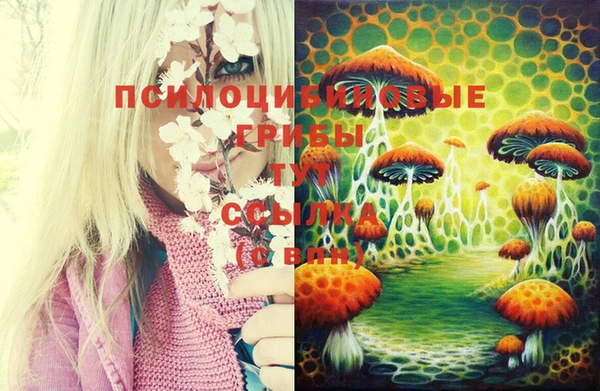 дживик Лихославль