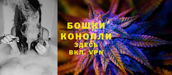 винт Лиски