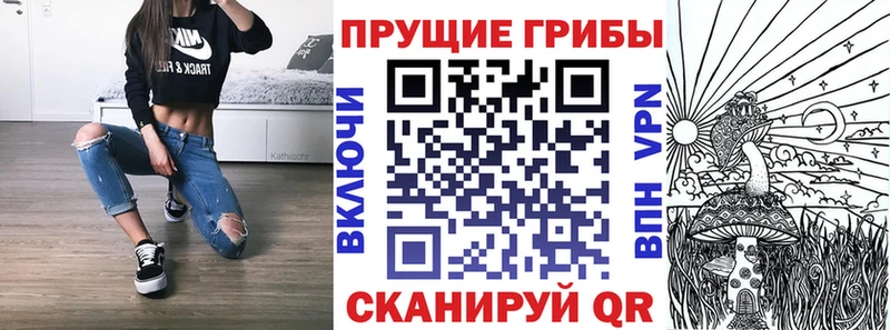 Купить где  Вичуга  Галлюциногенные грибы Psilocybe 